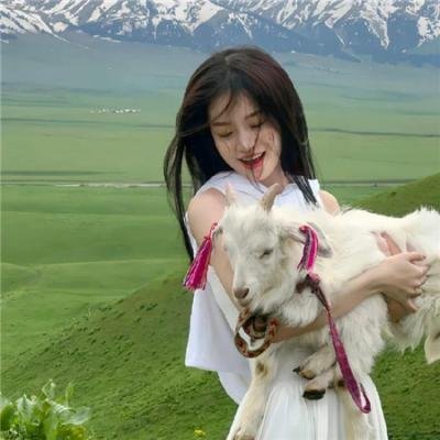 小丑2:双重妄想